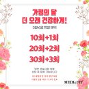 메디앤핏 일곱번째 PT후기 | 기구 활용 상체 운동 배운 날