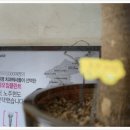 화이트e치과의원 이미지