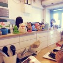 카모메(KAMOME)