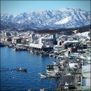 쟁골농장 이미지