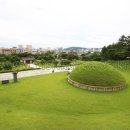 홍주의사총 이미지