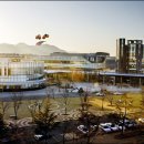 영남대학교 이미지