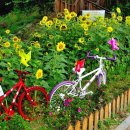 명서주민운동장 이미지