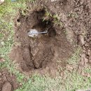 대한서비스 이미지