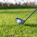 원골프 이미지