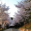 중왕리 선착장 이미지