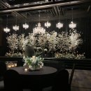 웨스턴베니비스 이미지