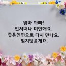 (주)젠틀펫 이미지