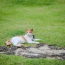 둥지 펜션 이미지