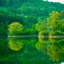 섬강축산 이미지