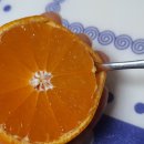 느림보농장 이미지