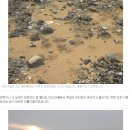 대포갯벌 이미지