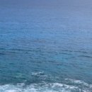 새우마농장 이미지