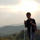 수도 한우목장 이미지