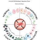 경희산부인과 이미지