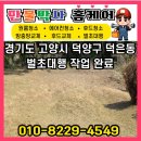 경기도 고양시 덕양구 덕은동 1기 / 20평 벌초 대행 재의뢰 후기- 만물박사홈게어
