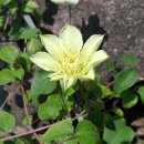 나물밥상 이미지