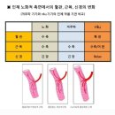 알포유테라피 네이버블로그