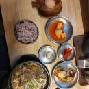 22-3/13-토 철산동-한우국밥 도림천-뚝 걷고 공단-당구장 차돌찌개 이미지