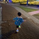 [이천 별빛정원우주(OOOZOOO] 별빛테마파크 야경명소, 라이팅쇼_내돈내산 후기