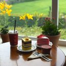 용천2리 | 서울근교 나들이 양평 가볼만한곳 카페 더그림 시원한 또랑길