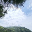 녹명 Daum카페