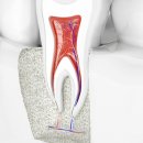 관악퍼스트치과의원 이미지