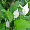 우리들어린이집 이미지