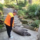 바우동물병원 이미지