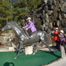 경천대펜션 이미지