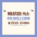 플러스호텔 | 베스트 웨스턴 플러스 호텔 볼로냐 후기｜슈페리어 더블룸 + 조식｜베네치아 메스트레역 숙소 추천