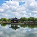 여름 행정사 사무소 이미지