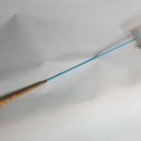 청심견지