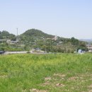 도원보건진료소 이미지