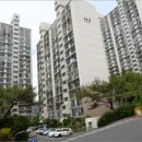 사파동117 이미지