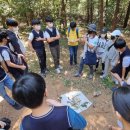 석성초등학교 이미지