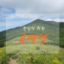 화원여행사 네이버블로그