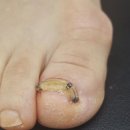 손편지네일 이미지