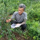 제천농장 이미지