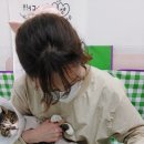 영블리 펫살롱 이미지