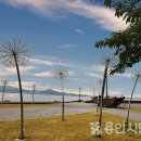 화성도시공사 전곡마리나 이미지