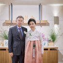 아이올라 이미지