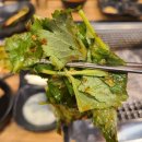 11215-자양2-186 | 자연이 준 자양강장제! 안양 평촌 장어 맛집 '고창풍천장어' 후기