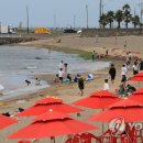 제주:) 오늘 이미지