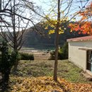 속초초 신봉분교장 이미지