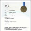 와사비아 이미지