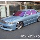 다이너스티 이미지