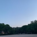 스왈라swalla 이미지