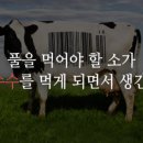 내장축산 이미지