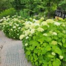 수빈목장 이미지